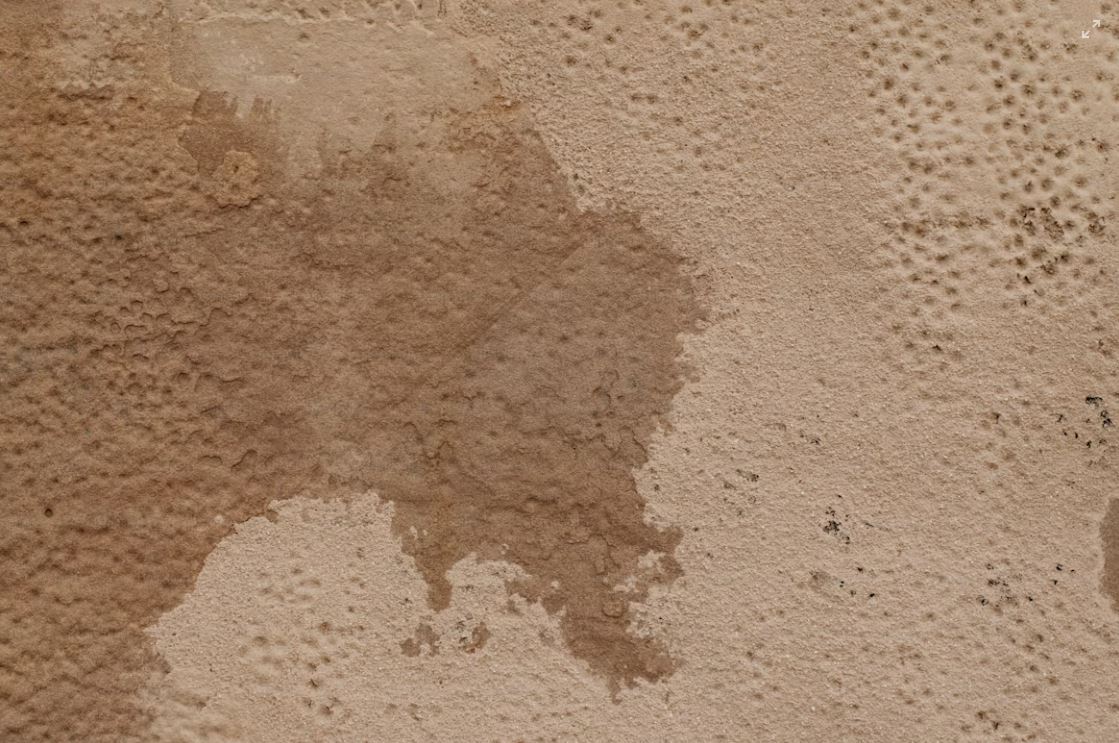 Humedad en pared tratada